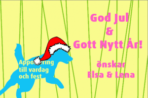 Apportering till vardag och fest önskar god jul