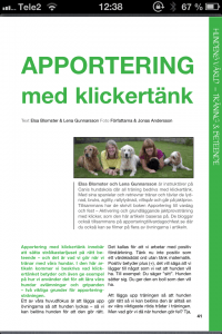 Apportering med klickertänk