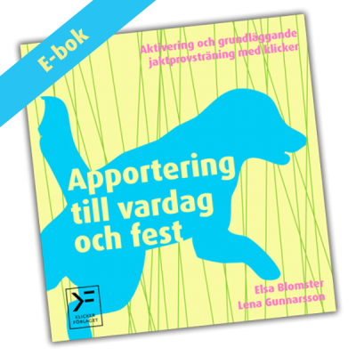 Apportering till vardag och fest - ebok
