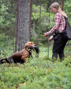 Fin avlämning, mindre fint vatten ;) Foto: Hanna Nilsson, http://www.kennelblagul.se/