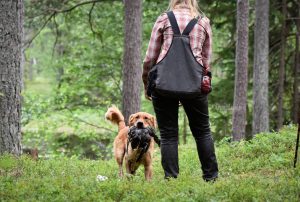 På väg in Foto: Hanna Nilsson, http://www.kennelblagul.se/