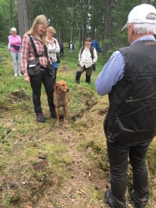Återkoppling från domaren (Seeker fick förmaningar från domaren om att sköta sig bättre i fotgåendet nästa gång ;) )