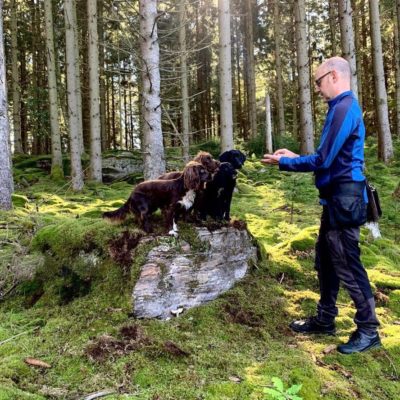 Boosta kontakt och samarbete
