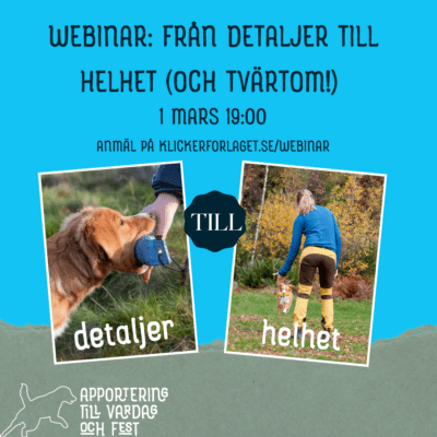Webinar: Från detaljer till helhet (och tvärtom!)