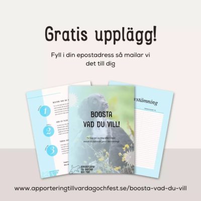 Gratis upplägg: Boosta vad du vill